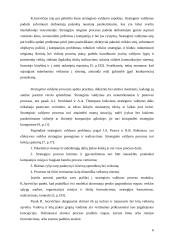 Strateginio valdymo analizė: didmeninė prekyba elektronikos produktais UAB "Vijurkas" 6 puslapis