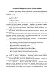 Strateginio valdymo analizė: didmeninė prekyba elektronikos produktais UAB "Vijurkas" 7 puslapis