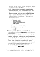 Organizacijos strateginis planavimas 16 puslapis