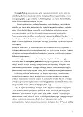 Organizacijos strateginis planavimas 3 puslapis