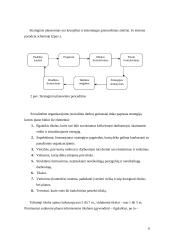 Organizacijos strateginis planavimas 6 puslapis