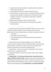 Organizacijos strateginis planavimas 8 puslapis