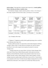 Organizacijos strateginis planavimas 9 puslapis