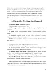 Organizacijos strateginis planavimas 10 puslapis