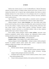 Studentų pažangumo statistinis tyrimas 3 puslapis