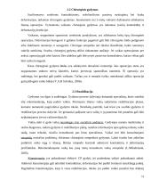 Smulkiosios motorikos lavinimas esant spazminiam cerebriniam paralyžiui 11 puslapis