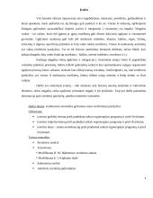 Smulkiosios motorikos lavinimas esant spazminiam cerebriniam paralyžiui 3 puslapis