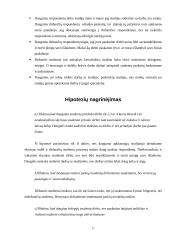 Studijų derinimas su darbu 17 puslapis