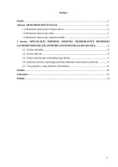 Specialiųjų poreikių mokinių, besimokančių bendrojo lavinimo mokykloje, požiūris į matematiką kaip dalyką 2 puslapis