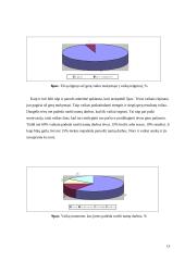 Specialiųjų poreikių mokinių, besimokančių bendrojo lavinimo mokykloje, požiūris į matematiką kaip dalyką 13 puslapis