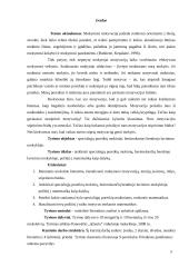 Specialiųjų poreikių mokinių, besimokančių bendrojo lavinimo mokykloje, požiūris į matematiką kaip dalyką 3 puslapis