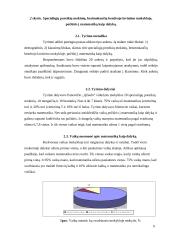 Specialiųjų poreikių mokinių, besimokančių bendrojo lavinimo mokykloje, požiūris į matematiką kaip dalyką 9 puslapis