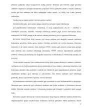 Suaugusiųjų švietimas – šiuolaikinės visuomenės būtinybė 18 puslapis