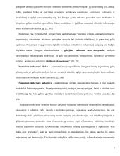 Suaugusiųjų švietimas – šiuolaikinės visuomenės būtinybė 6 puslapis