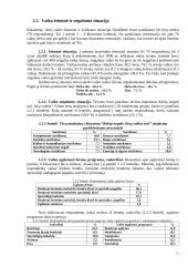 Specialiųjų poreikių vaikų integravimo problemos 12 puslapis