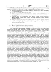 Specialiųjų poreikių vaikų integravimo problemos 13 puslapis