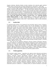 Specialiųjų poreikių vaikų integravimo problemos 4 puslapis