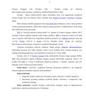 Suomijos ekonominės problemos 3 puslapis