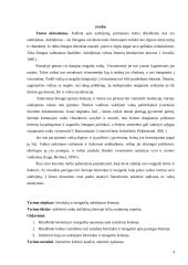 Specialiųjų poreikių vaikų rengimas šeimai lyčių aspektu 3 puslapis