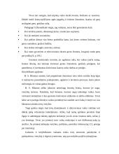 Šeimos poveikis vaikų ugdymuisi ankstyvosios vaikystės metais 13 puslapis