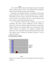 Šeimos poveikis vaikų ugdymuisi ankstyvosios vaikystės metais 19 puslapis