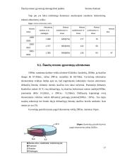 Šiaulių miesto gyventojų demografinės padėties įvertinimas 18 puslapis