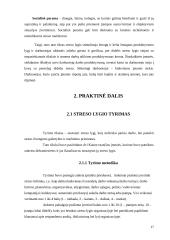Stresas darbe ir streso lygio tyrimas 17 puslapis