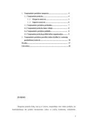 Tarptautinės prekybos įtaka rinkos dydžiui ir vartotojų pasirinkimo įvairovei 2 puslapis