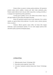 Tarptautinės prekybos įtaka rinkos dydžiui ir vartotojų pasirinkimo įvairovei 17 puslapis