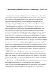 Tarptautinės prekybos liberalizavimo problemos 17 puslapis