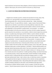 Tarptautinės prekybos liberalizavimo problemos 18 puslapis