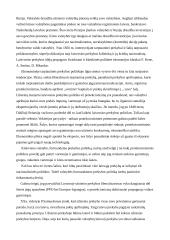 Tarptautinės prekybos liberalizavimo problemos 19 puslapis