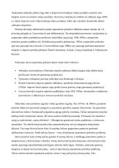 Tarptautinės prekybos liberalizavimo problemos 10 puslapis