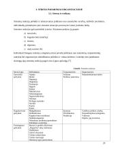 Streso veiksniai organizacijoje. Streso valdymo strategijos 20 puslapis