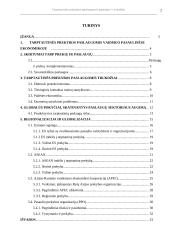 Tarptautinės prekybos paslaugomis trukdžiai ir paskatos 2 puslapis