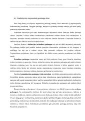 Tarptautinės prekybos paslaugomis trukdžiai ir paskatos 13 puslapis