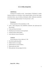 Tarptautiniai krovinių pervežimai Lietuvos eksporto požiūriu 12 puslapis