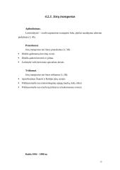 Tarptautiniai krovinių pervežimai Lietuvos eksporto požiūriu 15 puslapis