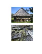 Svirnai statybose 11 puslapis