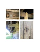 Svirnai statybose 13 puslapis