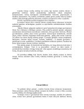 Svirnai statybose 3 puslapis