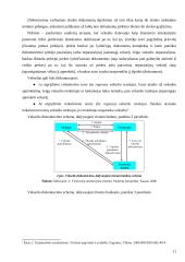 Tarptautiniuose atsiskaitymuose naudojami mokėjimo instrumentai 11 puslapis