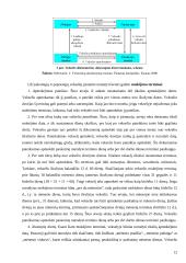 Tarptautiniuose atsiskaitymuose naudojami mokėjimo instrumentai 12 puslapis