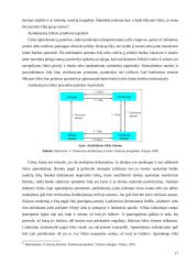 Tarptautiniuose atsiskaitymuose naudojami mokėjimo instrumentai 17 puslapis