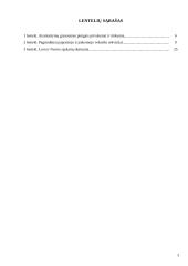 Tarptautiniuose atsiskaitymuose naudojami mokėjimo instrumentai 3 puslapis