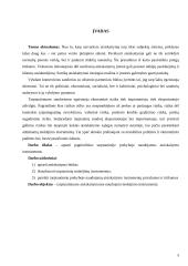 Tarptautiniuose atsiskaitymuose naudojami mokėjimo instrumentai 5 puslapis