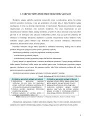 Tarptautiniuose atsiskaitymuose naudojami mokėjimo instrumentai 6 puslapis