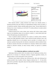 Šiaulių miesto švietimo įstaigos ir jų įvertinimas 17 puslapis
