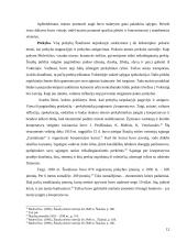 Šiaulių miesto urbanizacija tarpukaryje (1918 – 1941 metais) 12 puslapis