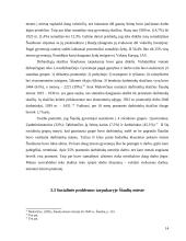 Šiaulių miesto urbanizacija tarpukaryje (1918 – 1941 metais) 14 puslapis